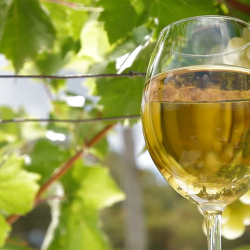 Baltas ( Pinot Grigio) 750 ml Baltas ( Pinot Grigio) 750 ml