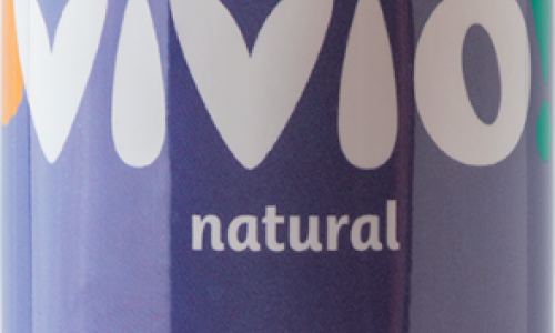 ANANASŲ SULTYS VIVIO 250 ml.